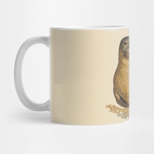 Hawaiian Monk Seal Mug